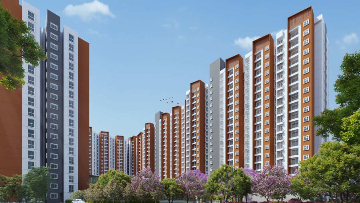 video image