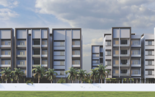 Oakstone SN Celeste