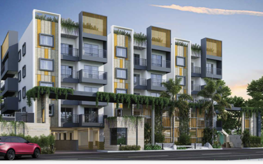 Amberstone Illumina