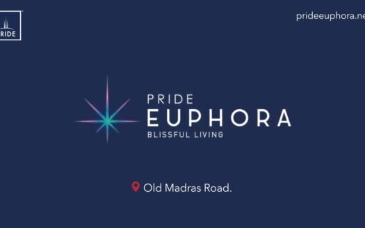 Pride Euphora