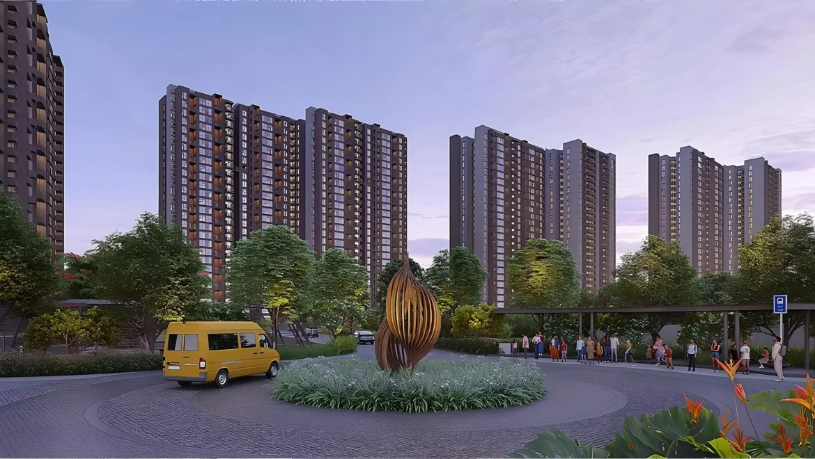 video image