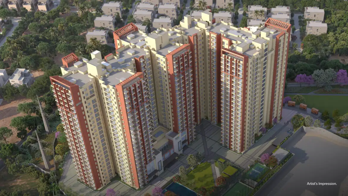 video image