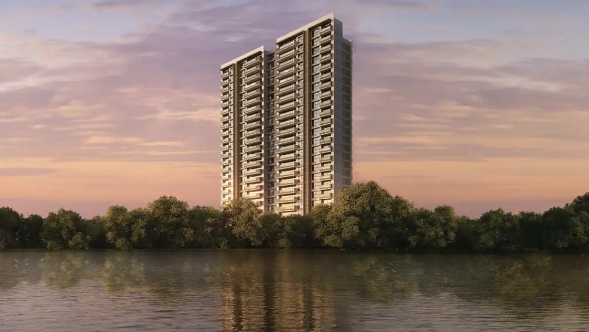 video image