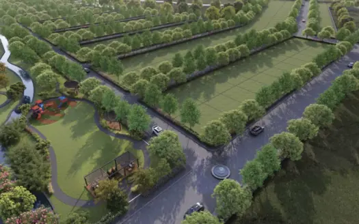 Arvind Orchards