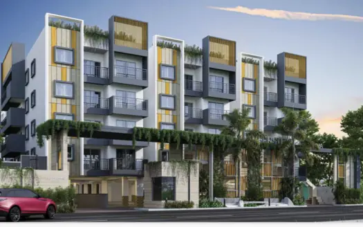 Amberstone Illumina