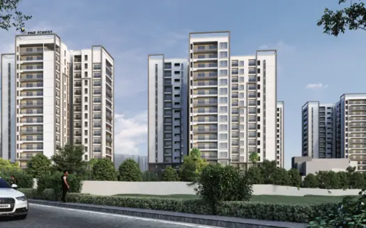 Prestige Pine Forest