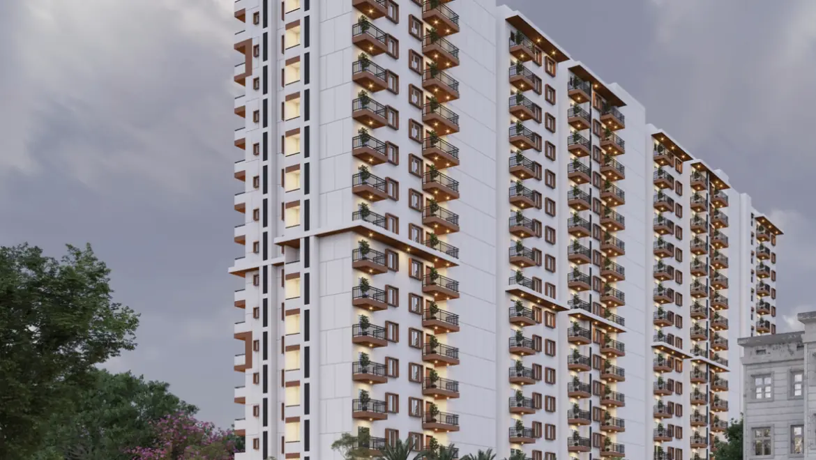 video image